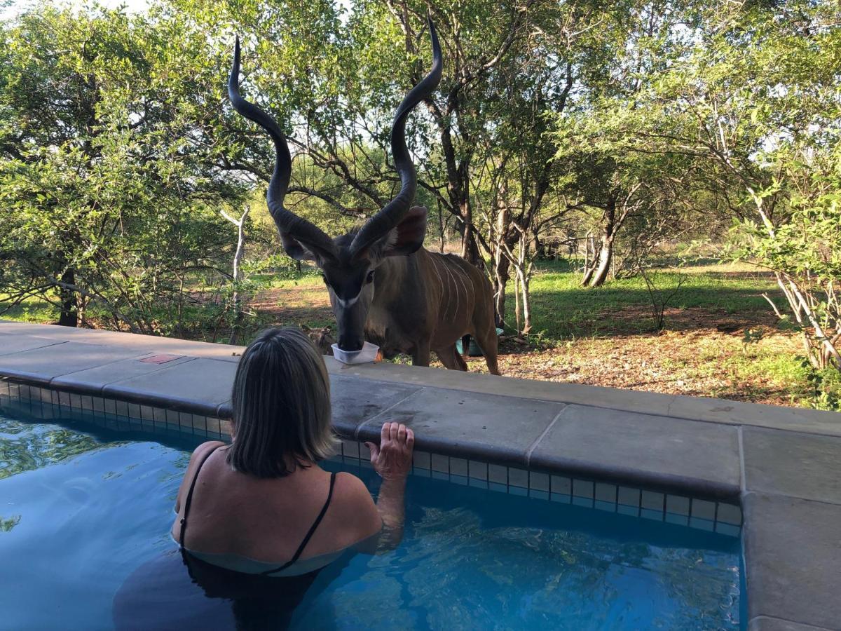 Kruger Willows Marloth Park Esterno foto